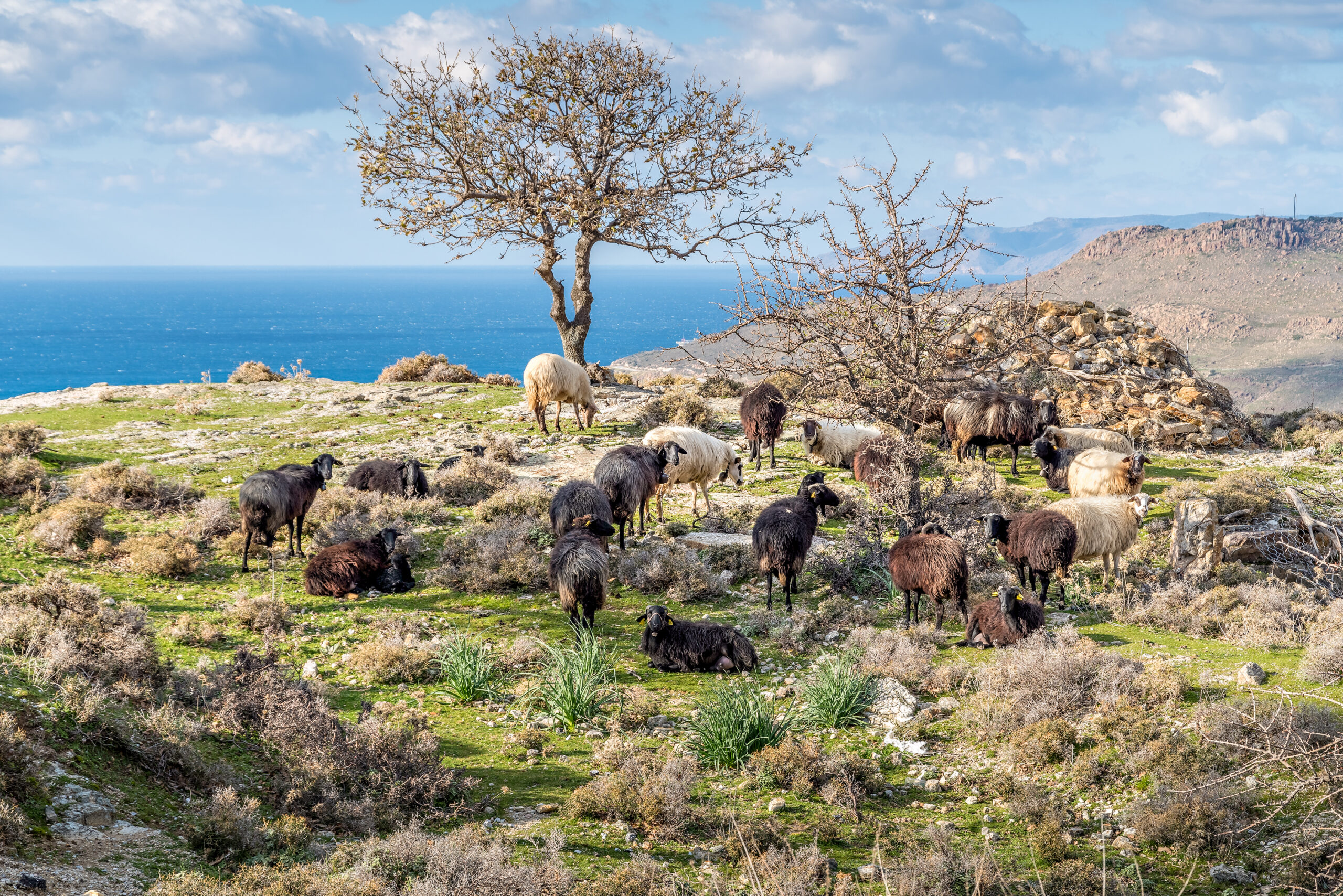 Sustainable Travel to Greece? Discover the Authentic Island of Lesvos