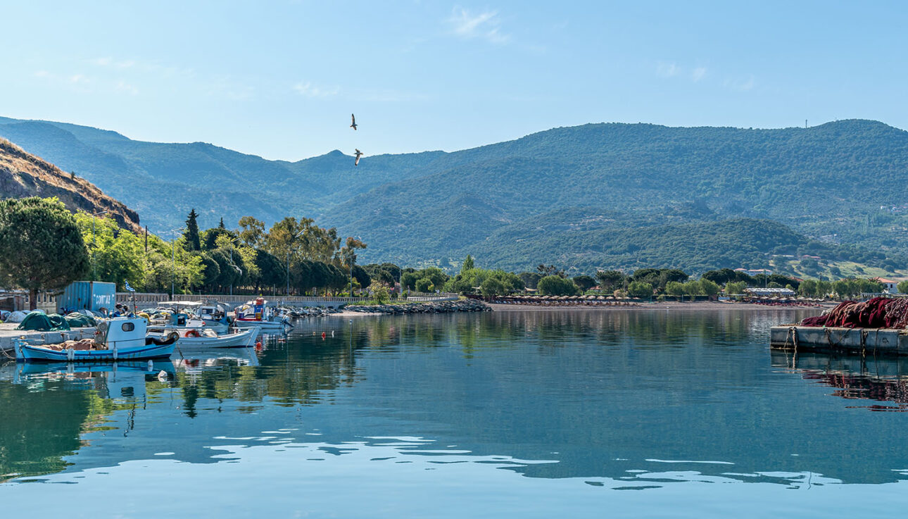 Petra Harbour